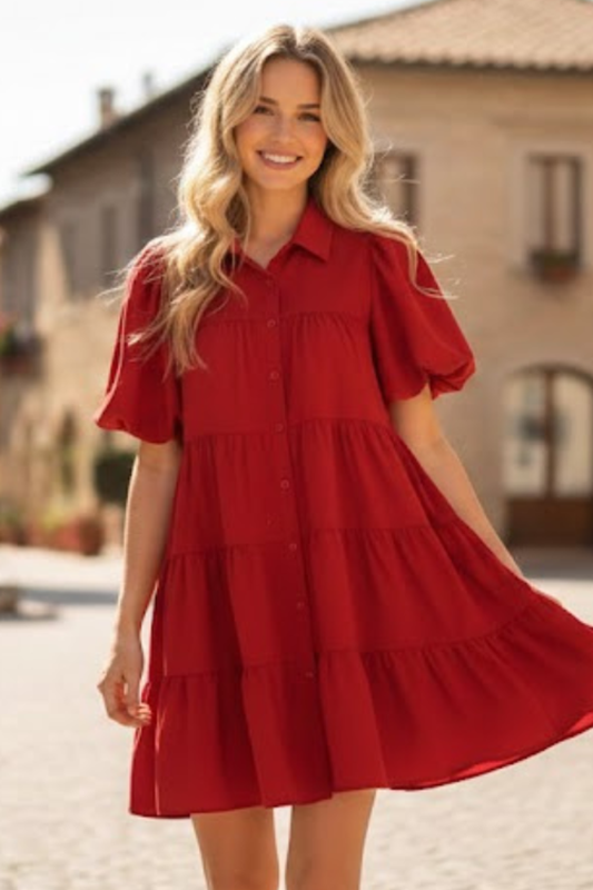 Chic and Bold Dress Chic and Bold Dress