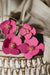 Fuchsia Floral Drop Earrings *online exclusive-[option4]-[option5]-Cute-Trendy-Shop-Womens-Boutique-Clothing-Store